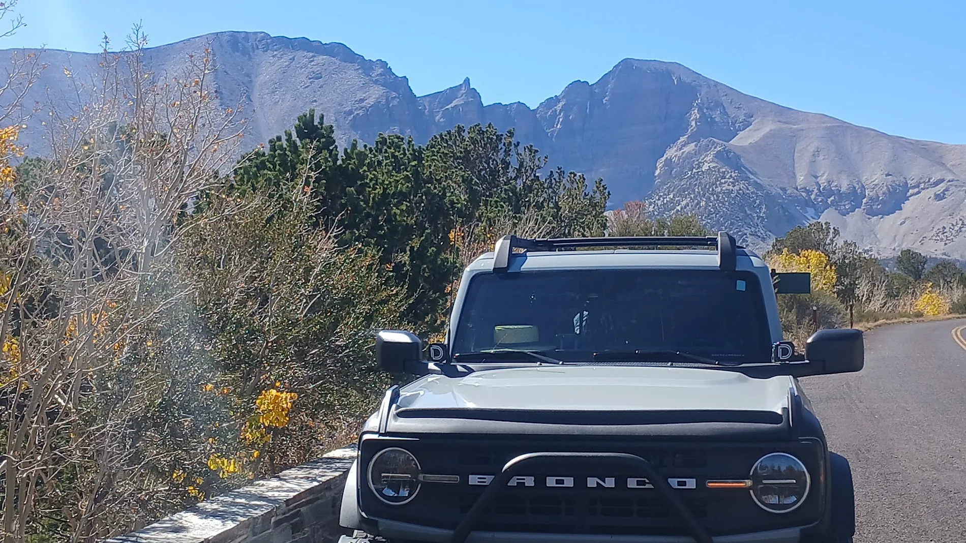 Ford Bronco Cactus Gray anyone? Cactus Gray Great Basin