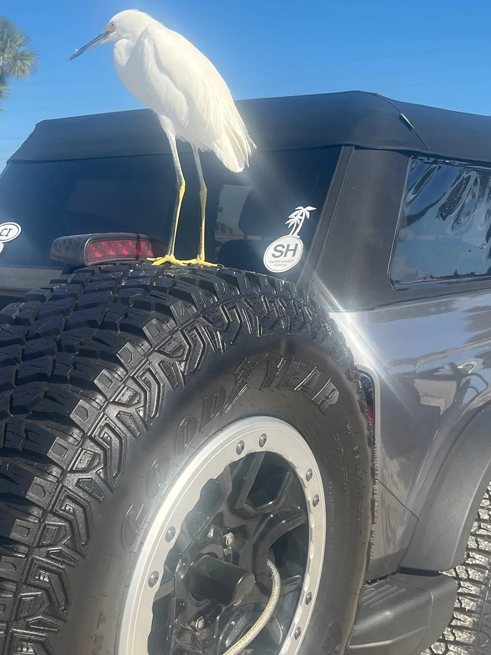 Ford Bronco What did you do TO / WITH your Bronco today? 👨🏻‍🔧🧰🚿🛠 IMG_4490