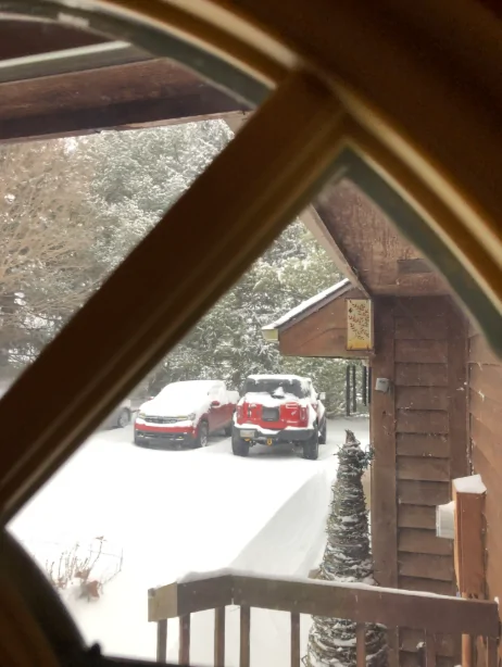 Ford Bronco SHOW your SNOW Screenshot 2026-01-25 9.50.59 AM