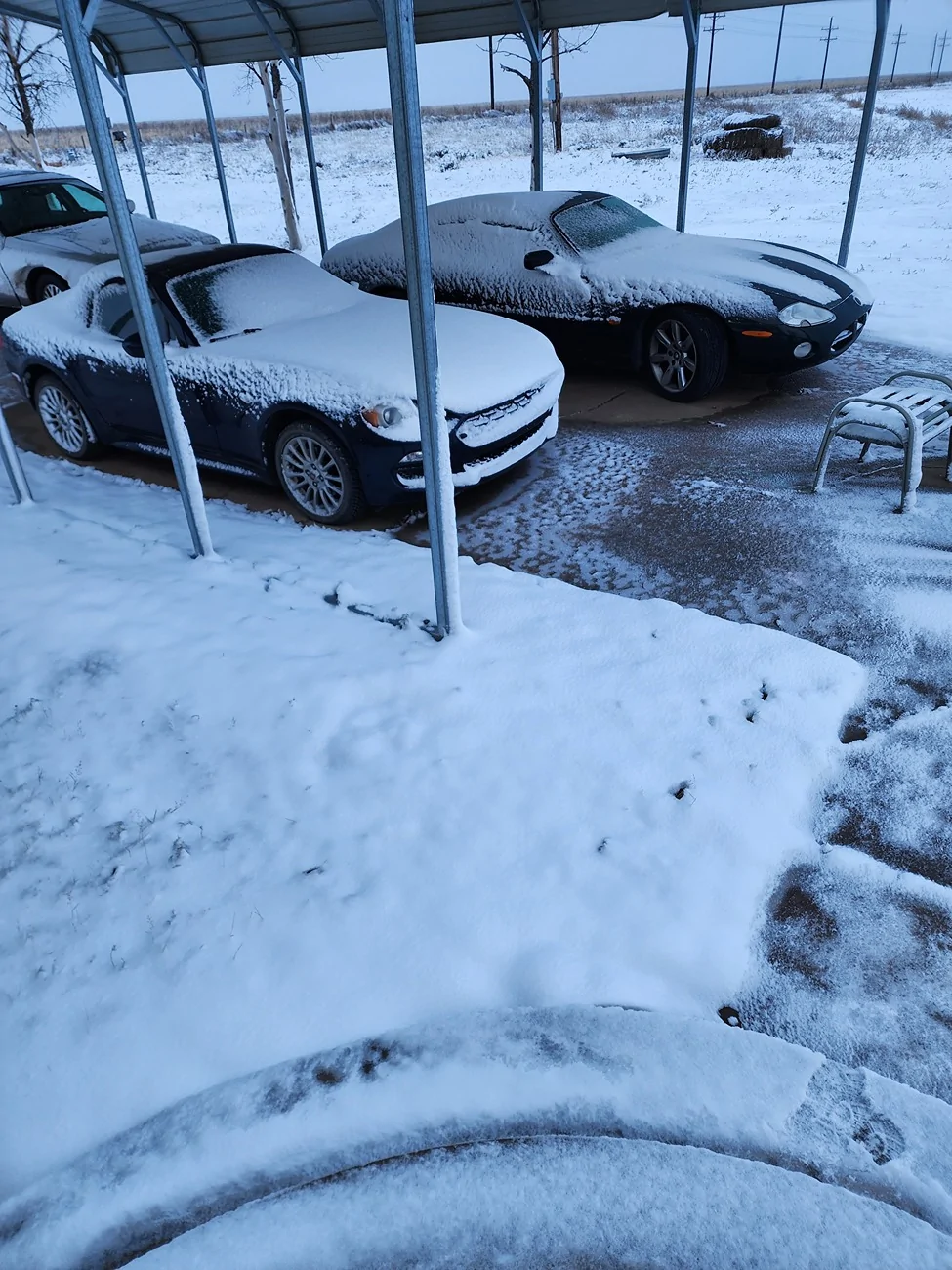 Ford Bronco SHOW your SNOW 1000002317