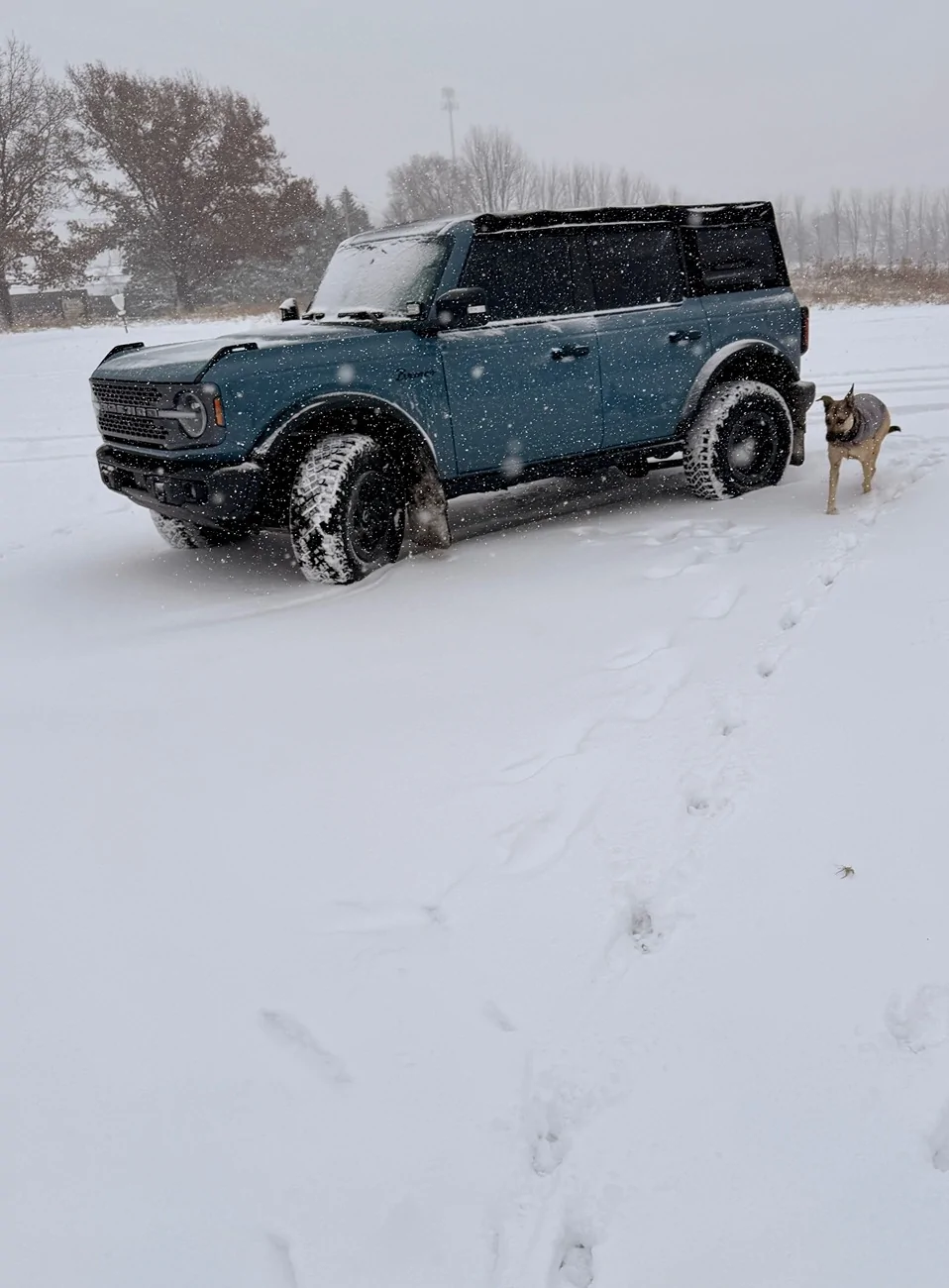 Ford Bronco SHOW your SNOW Bronco_Snow_1