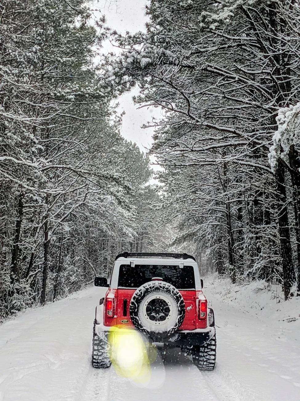 Ford Bronco SHOW your SNOW 1000004398