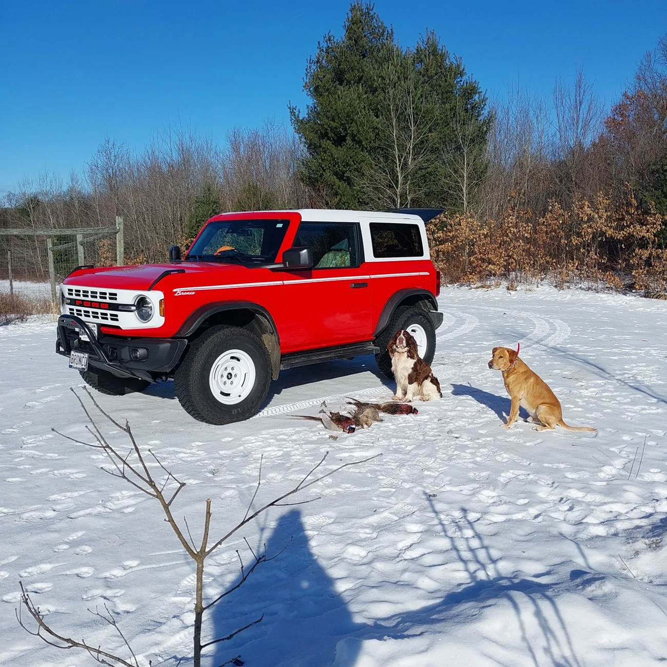 Ford Bronco Two Door Tuesday Lets See Them Two Doors 20260203_100603