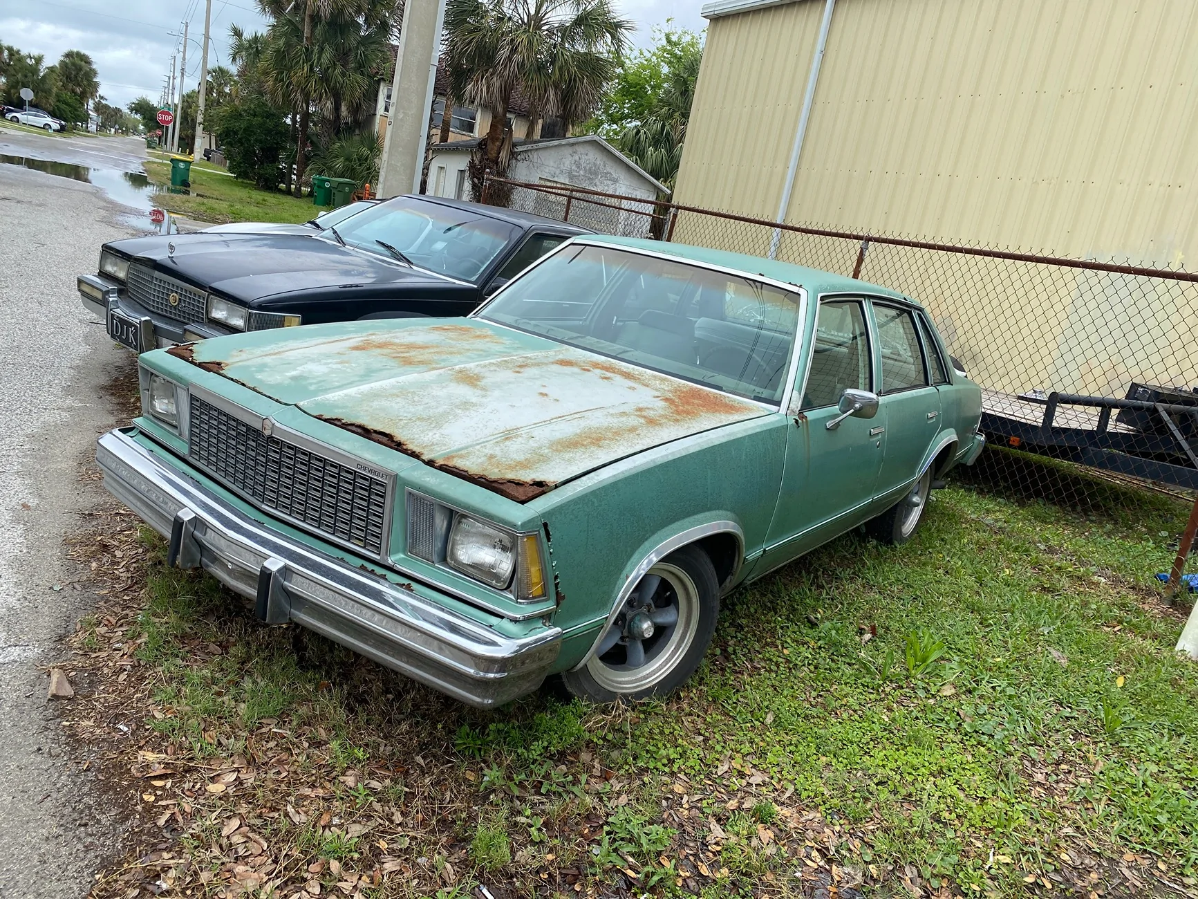 Ford Bronco The Official Bronco6G Photo Challenge Game 📸 🤳 IMG_9718