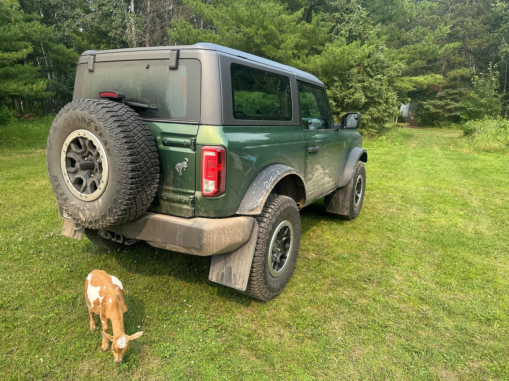 Ford Bronco Mud Flaps for NE Badlands + Sasquatch IMG_6444