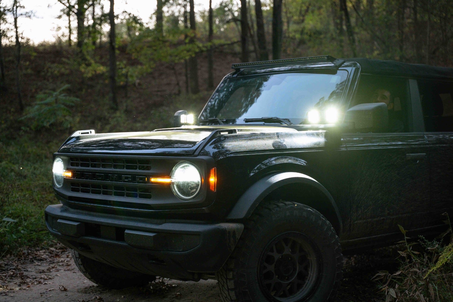 Ford Bronco Borne Off-Road Direct-Fit Bronco Lighting P1043743
