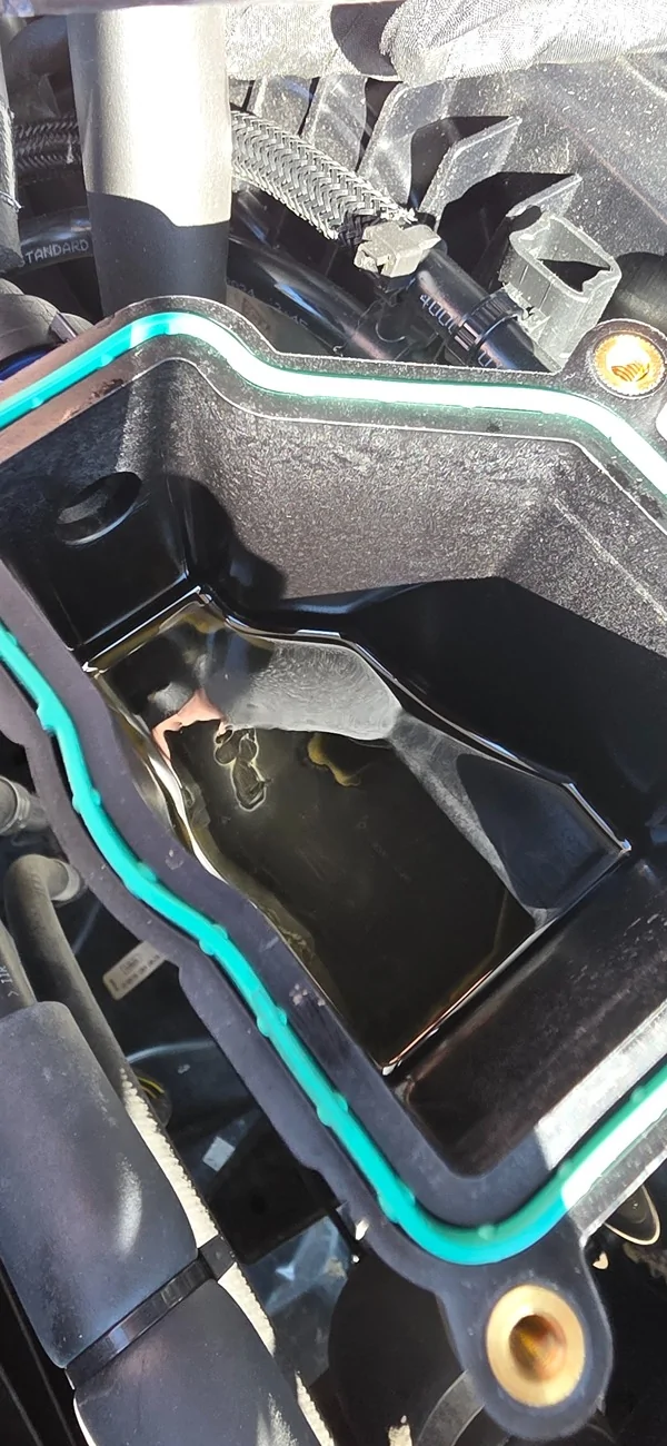 Ford Bronco Ford Performance Air/Oil Separator 20260213_131550