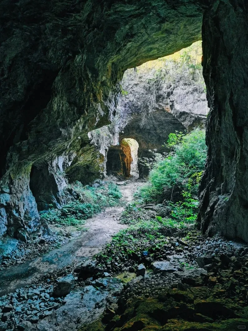 Ford Bronco Cave Exploring - Pics Share  (3)
