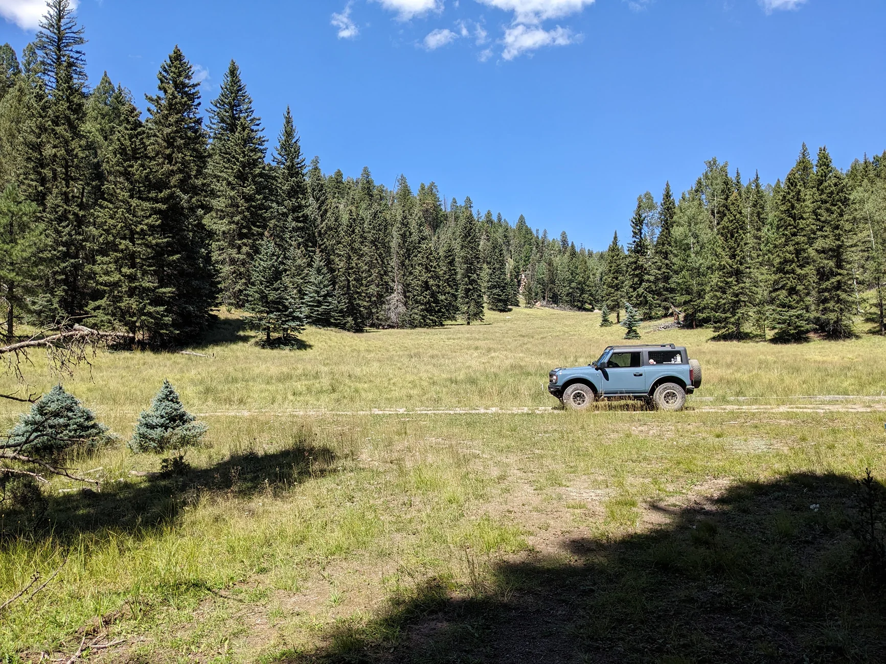 Ford Bronco The Official Bronco6G Photo Challenge Game 📸 🤳 PXL_20240901_185016991