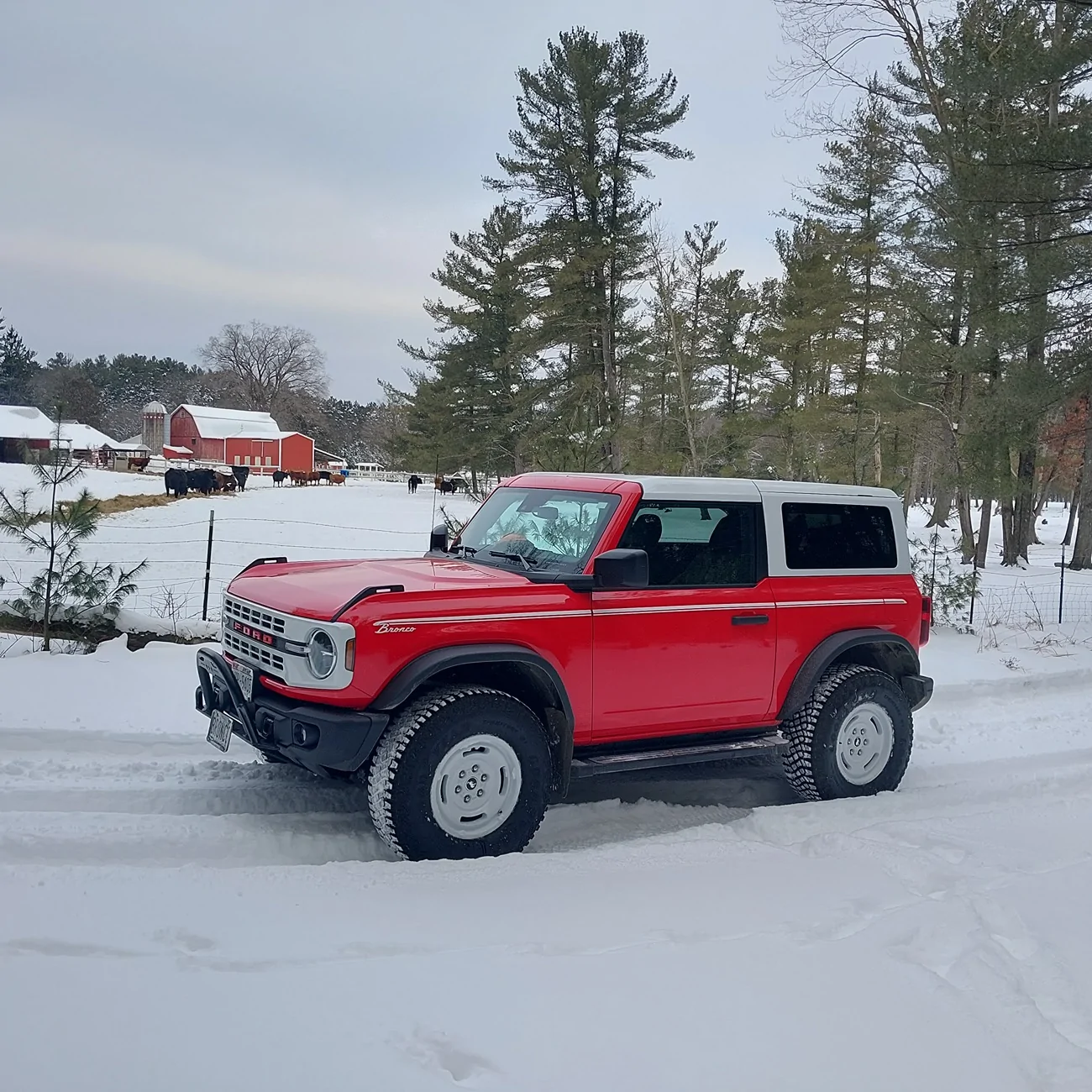 Ford Bronco SHOW your SNOW 20260222_075247