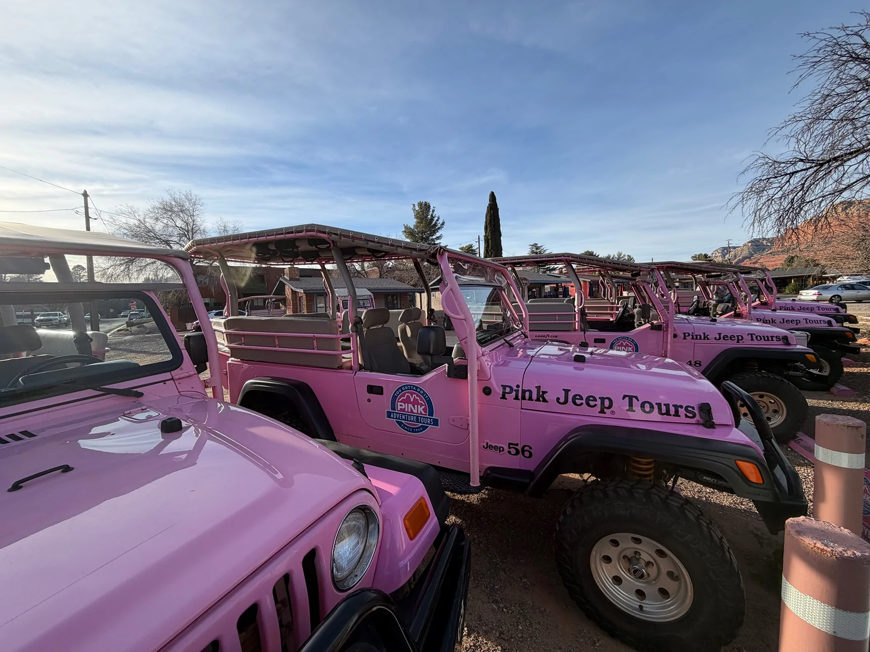 Ford Bronco I saw the infamous pink Jeeps. IMG_0210