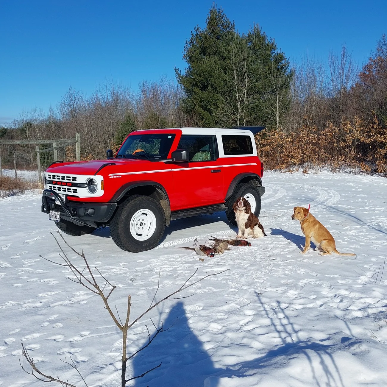 Ford Bronco Two Door Tuesday Lets See Them Two Doors 20260203_100559