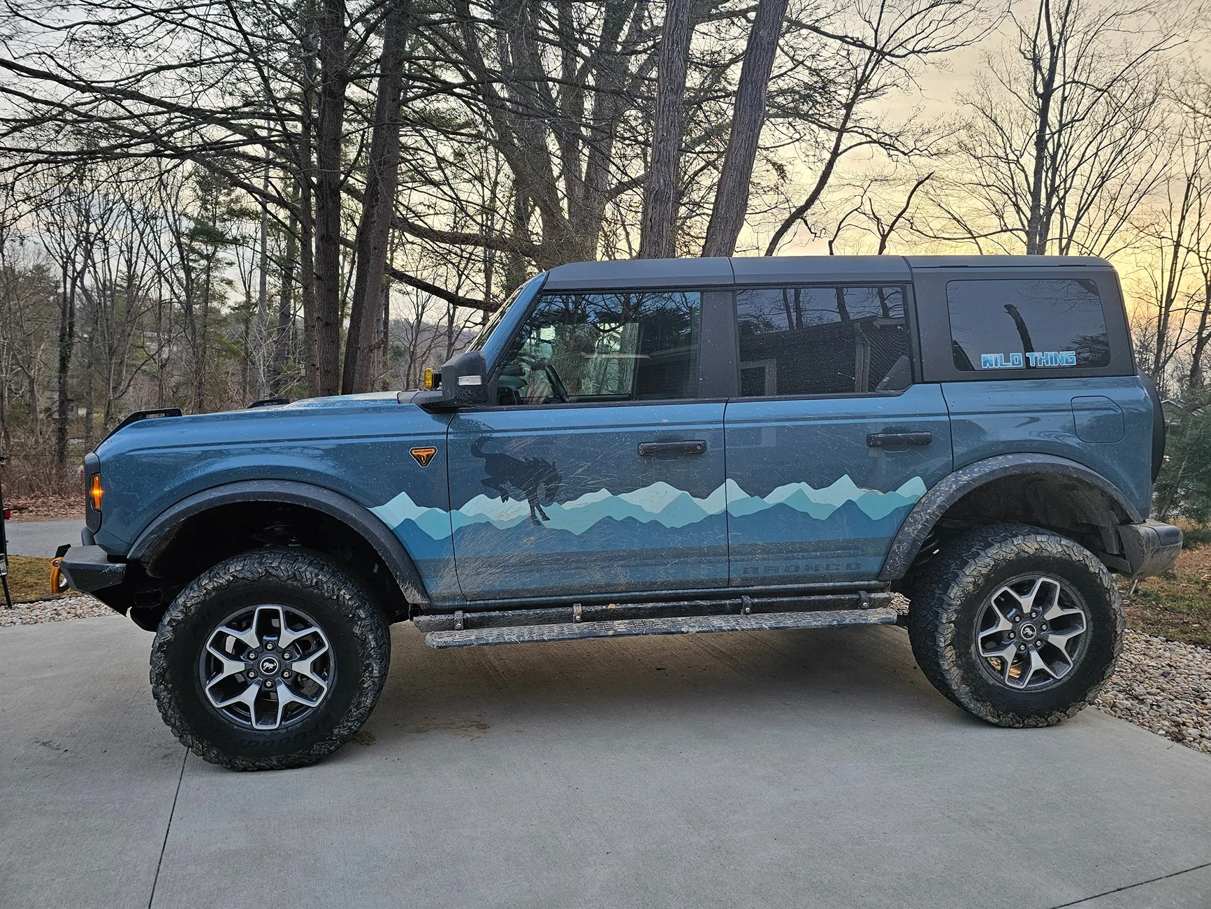 Ford Bronco WTB Icon Tubular UCAs 1000027227