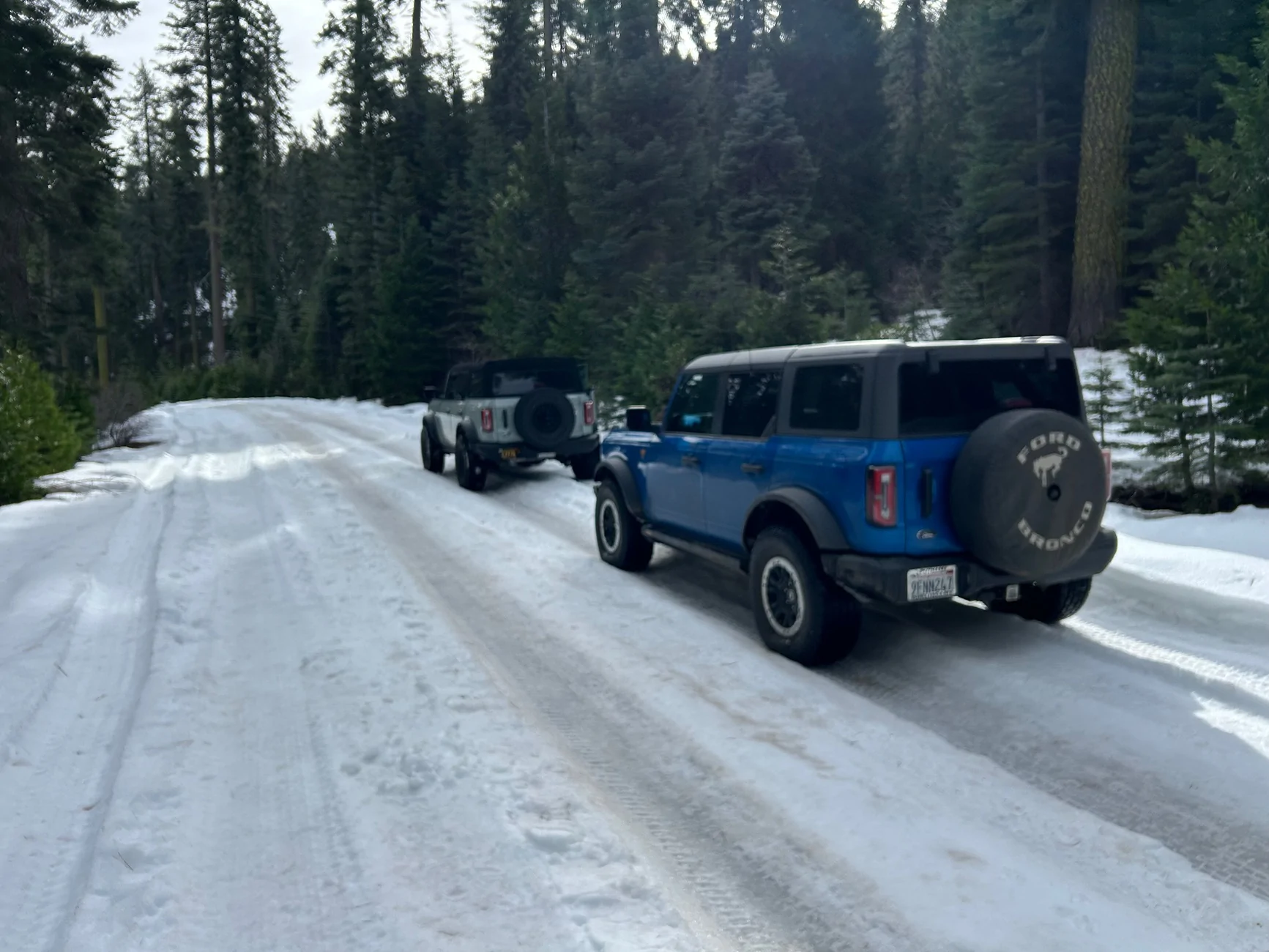 Ford Bronco The Official Bronco6G Photo Challenge Game 📸 🤳 IMG_3936