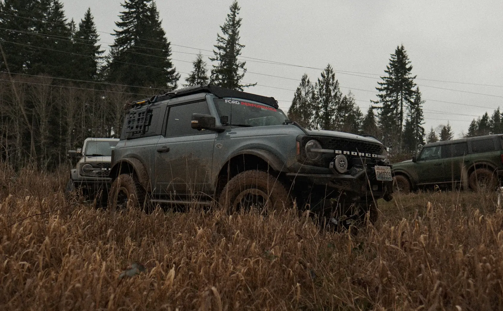 Ford Bronco PNW Broncos Capitol Forest, WA Feb '26 1773447457375-o0