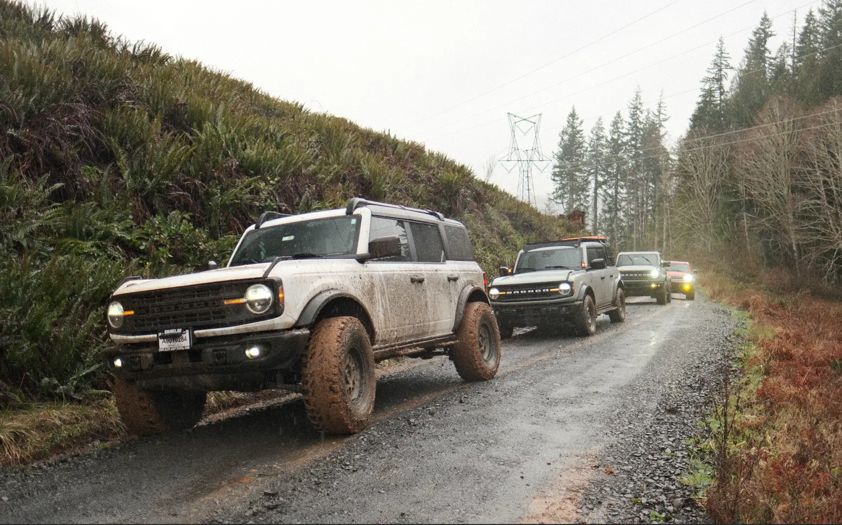 Ford Bronco PNW Broncos Capitol Forest, WA Feb '26 1773447876954-z