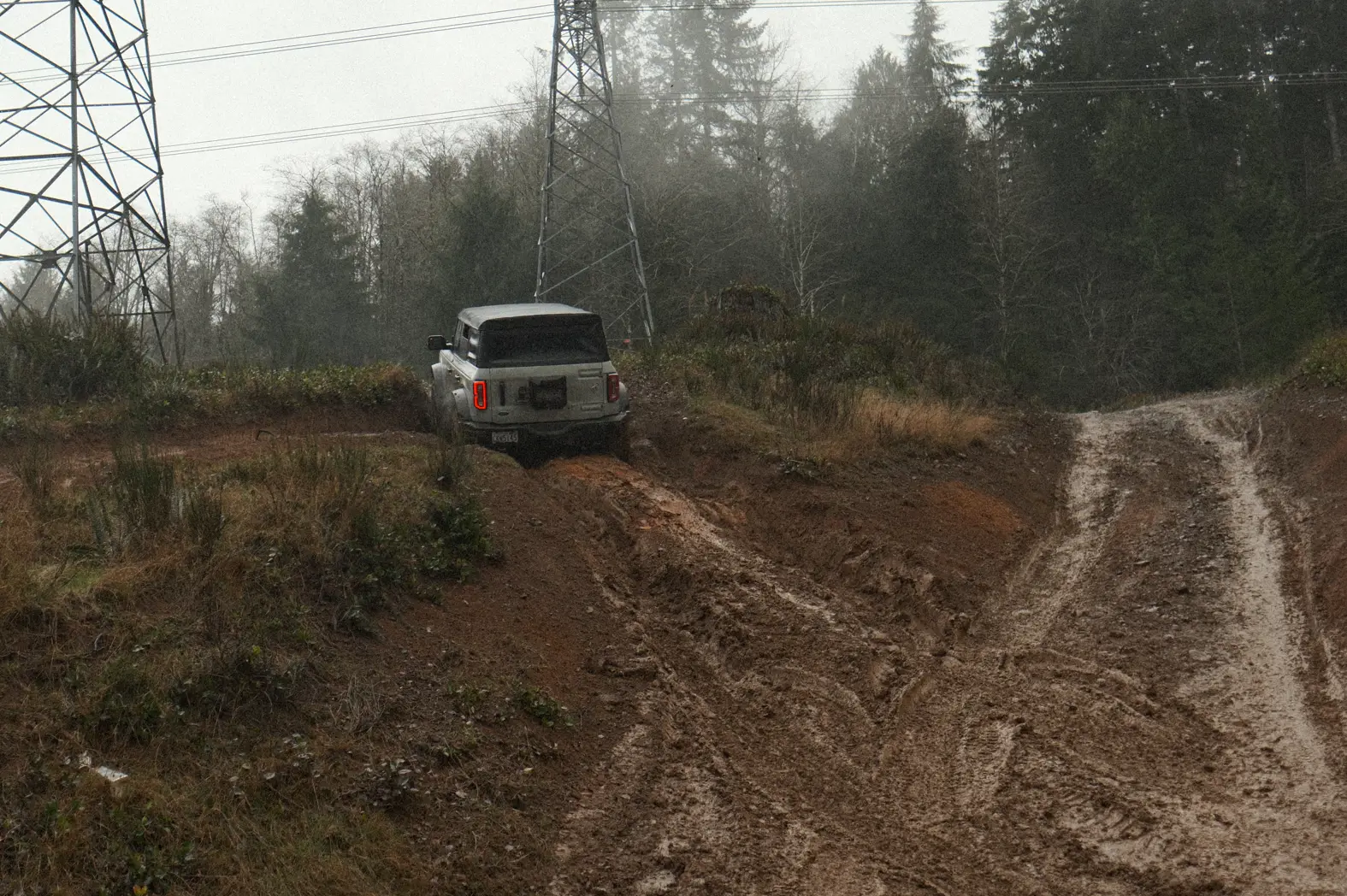 Ford Bronco PNW Broncos Capitol Forest, WA Feb '26 1773448050022-3f