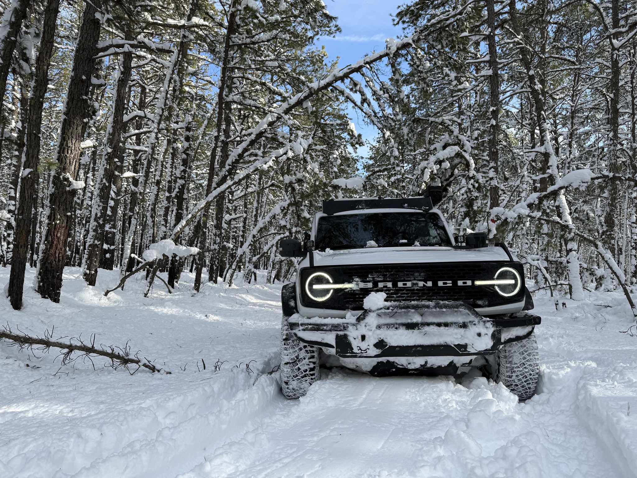 Ford Bronco What did you do TO / WITH your Bronco today? 👨🏻‍🔧🧰🚿🛠 55115976660_a02b8e0398_k