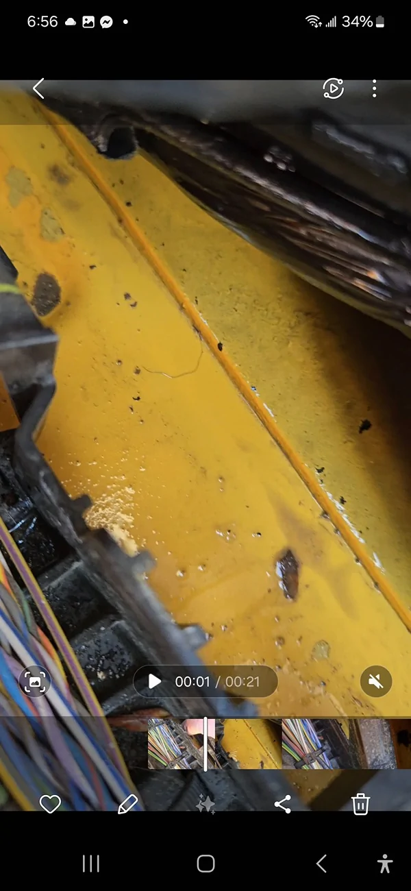 Ford Bronco Water pooling under washout floors and peeling paint 1000015268