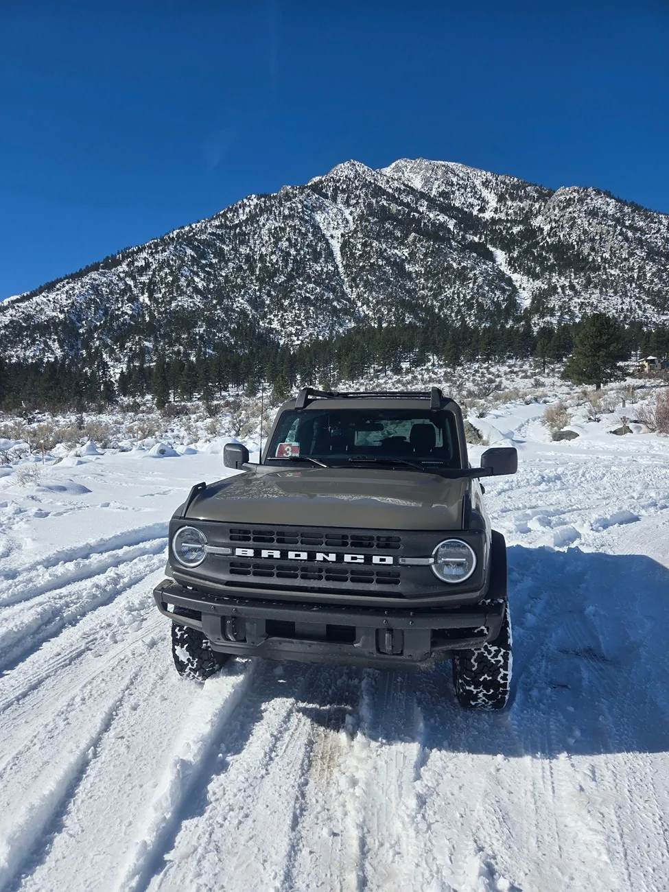 Ford Bronco MARSH GRAY Bronco Club 1000001850