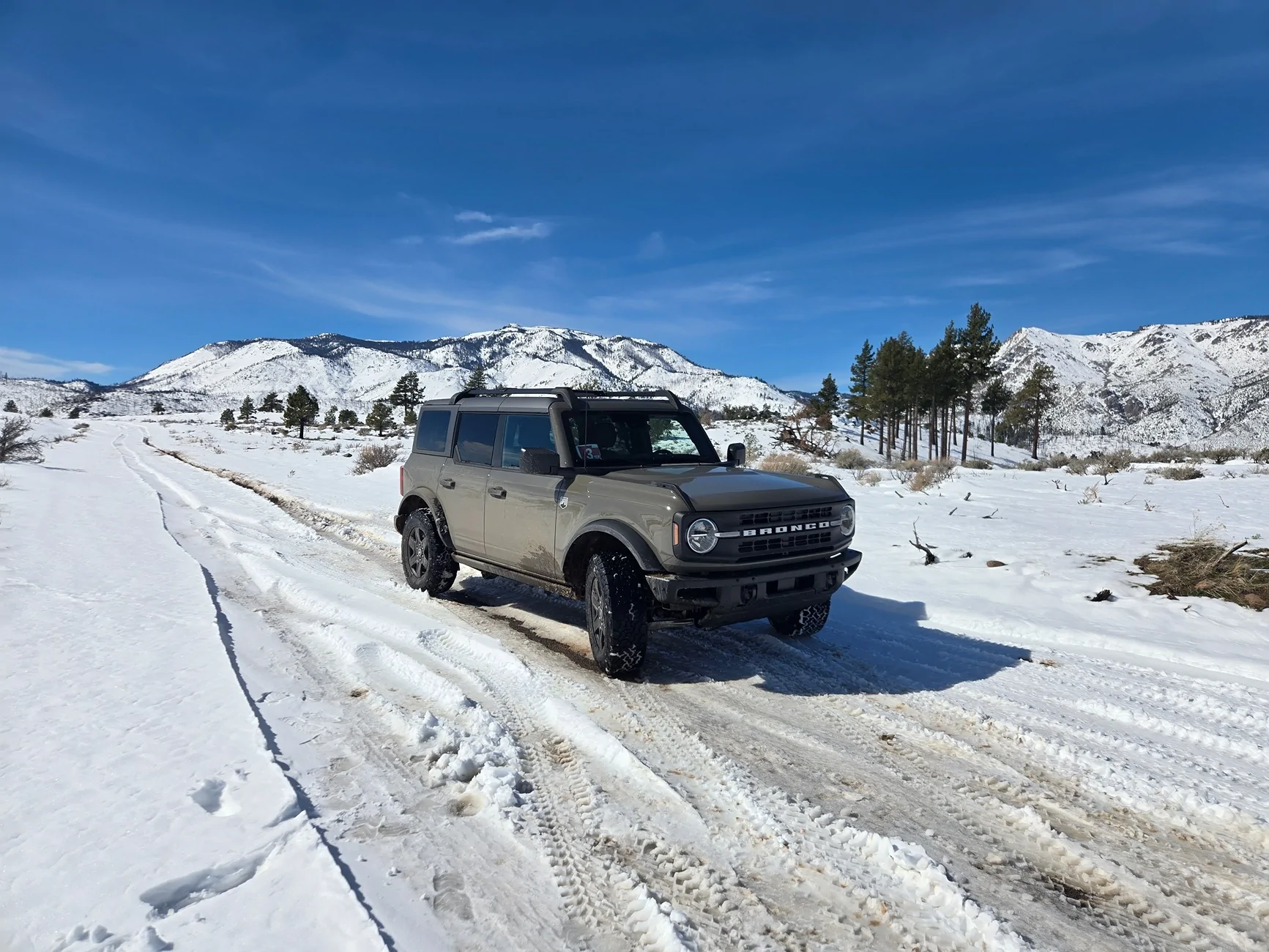 Ford Bronco MARSH GRAY Bronco Club 1000001854