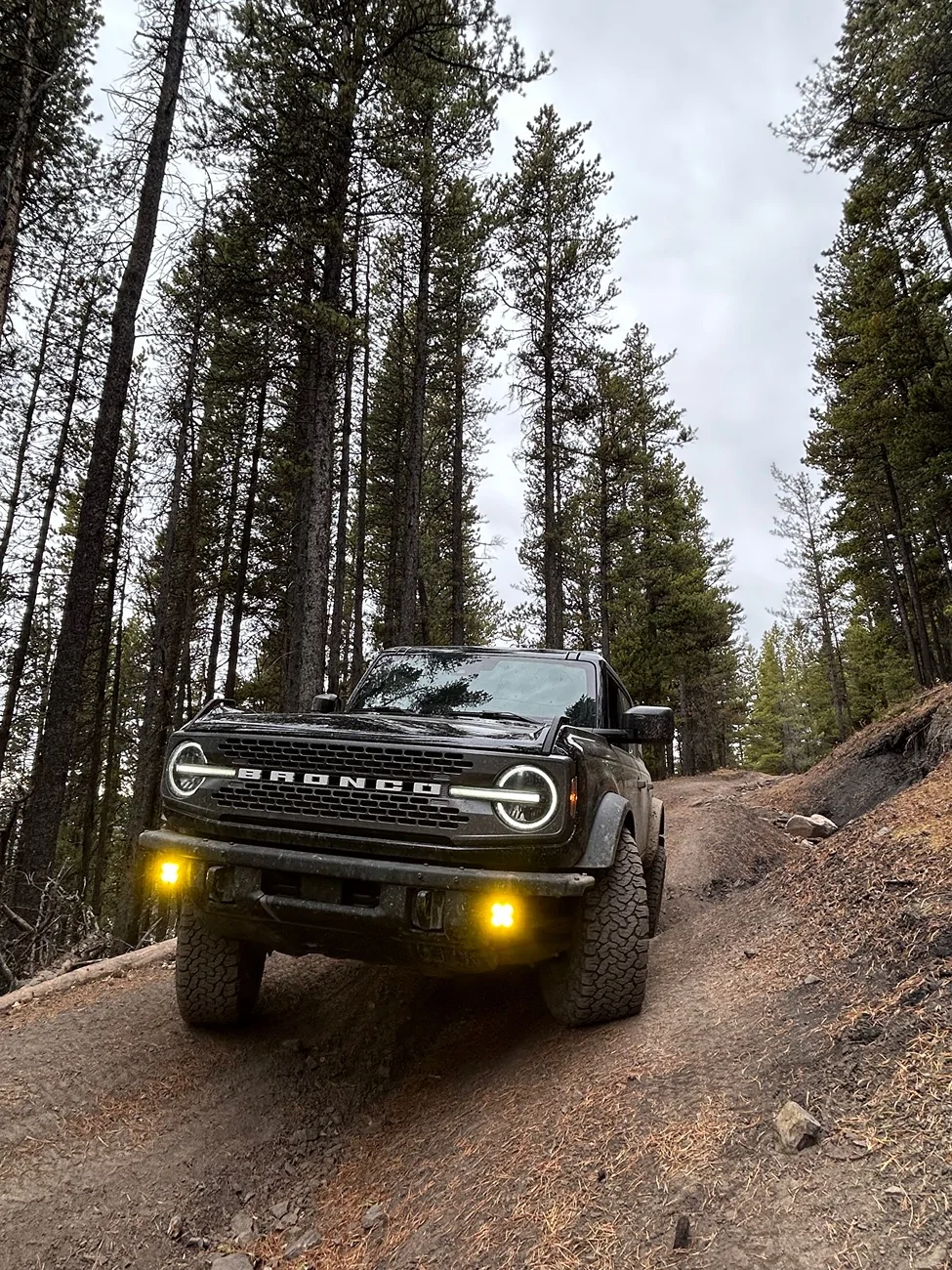 Ford Bronco How often do you use electronic stabilizer bar disconnect IMG_1052