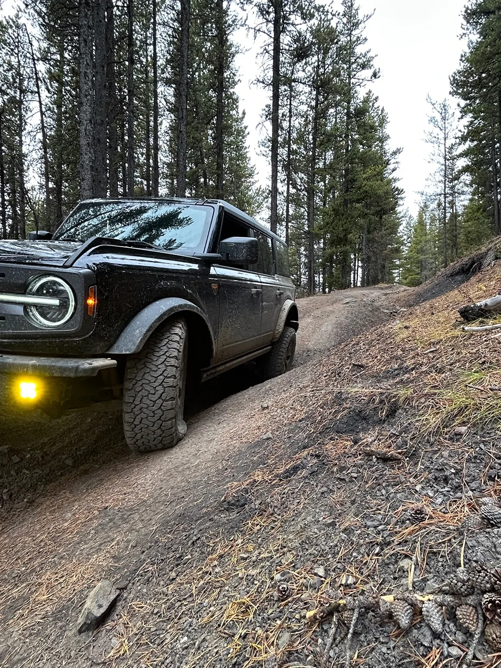 Ford Bronco How often do you use electronic stabilizer bar disconnect IMG_1050