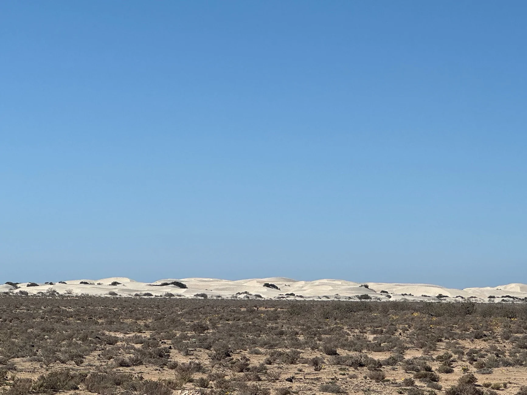 Ford Bronco Cross-Country to Baja: The Good, the Bad and the Ugly tempImage2mFxtJ