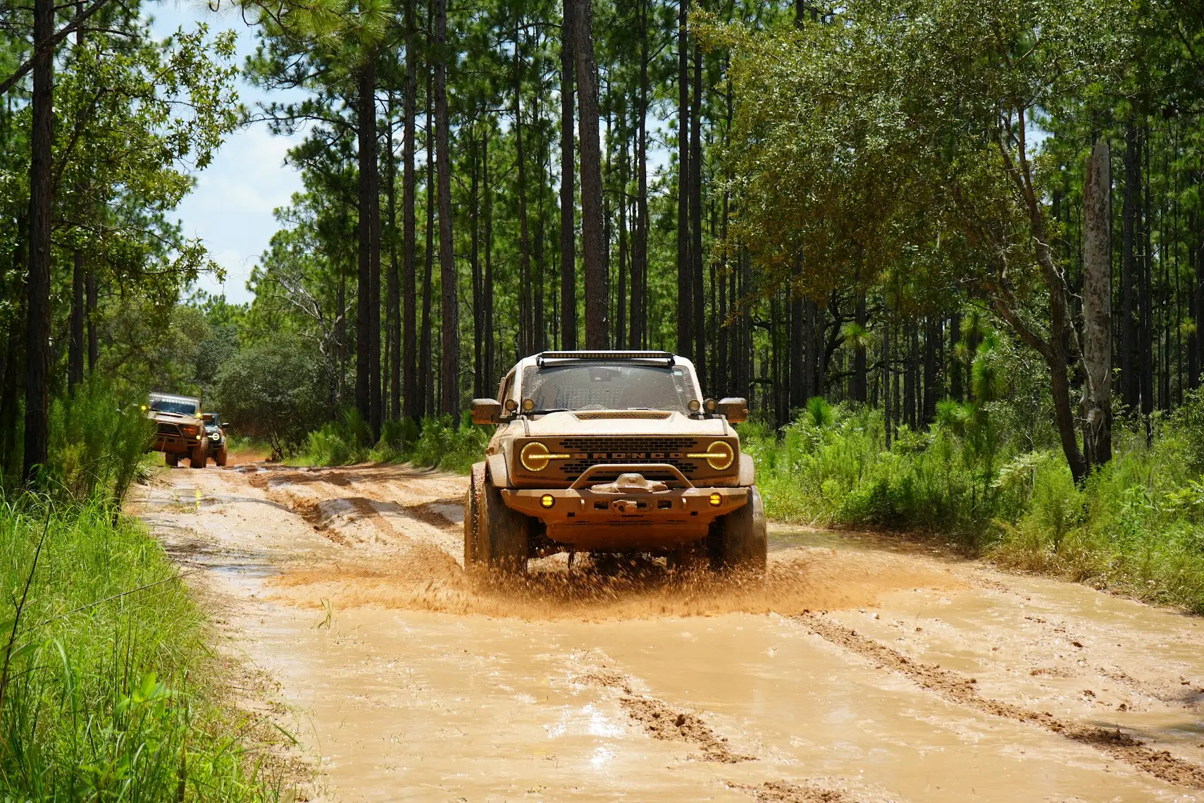 Ford Bronco Show me your Bronco doing Bronco stuff! 1774106622840-4z