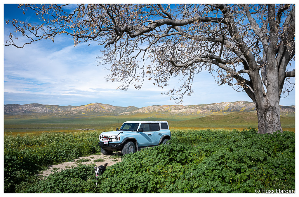 Ford Bronco What’s the best scenery you’ve come across on the trail? 55124553845_c19090eab8_b