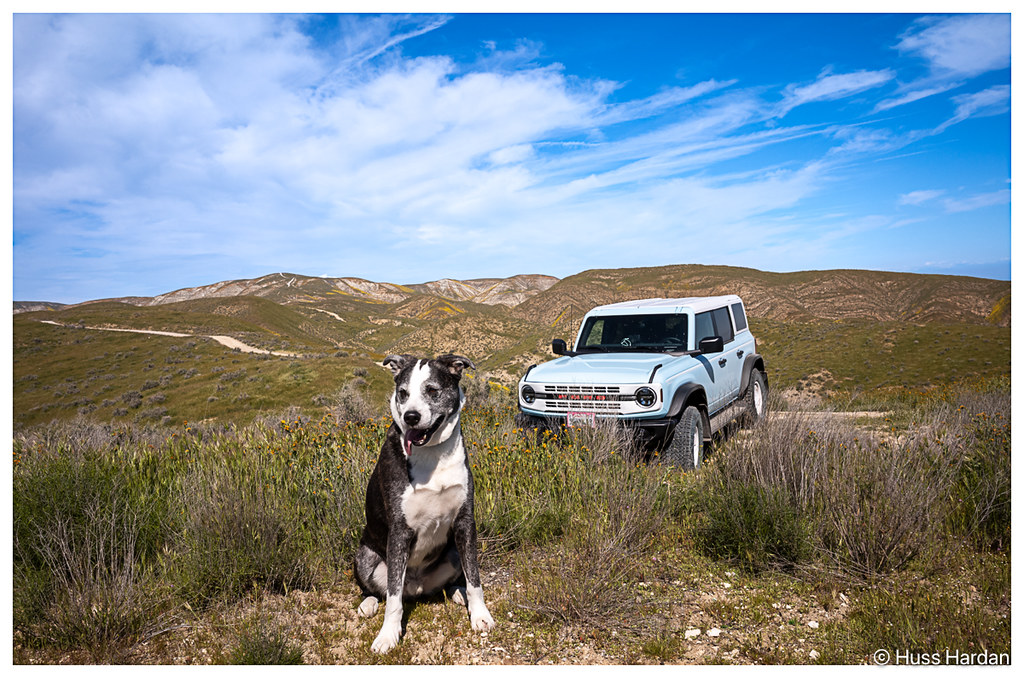 Ford Bronco What’s the best scenery you’ve come across on the trail? 55124413299_1dd2930dea_b