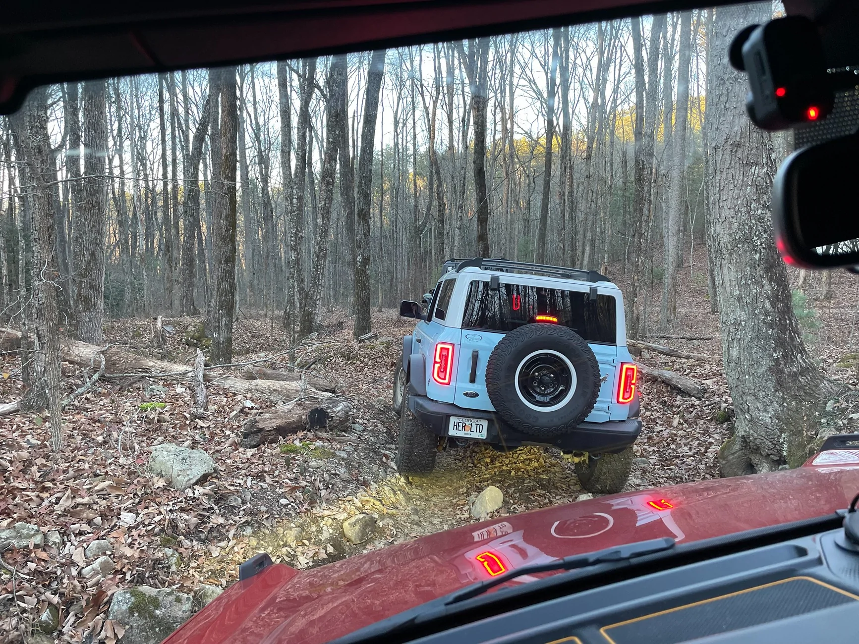 Ford Bronco Found my limit IMG_5346