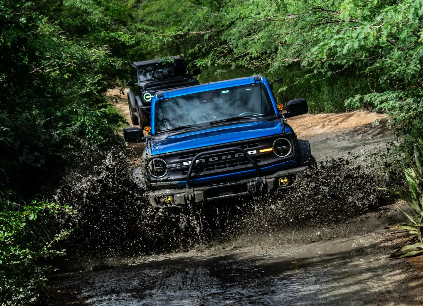Ford Bronco Show me your Bronco doing Bronco stuff! 1774204141020-a9