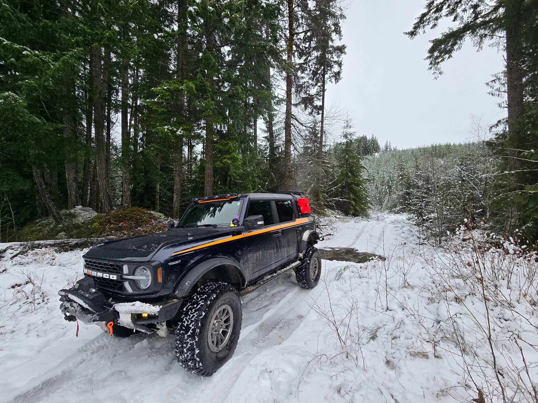 Ford Bronco Show me your Bronco doing Bronco stuff! 236