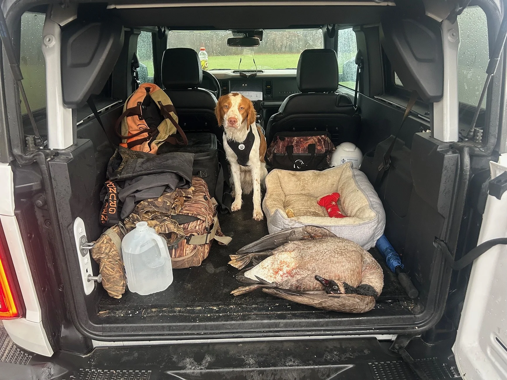 Ford Bronco 🐾 Show Us Your Dog + Bronco Photos! b3