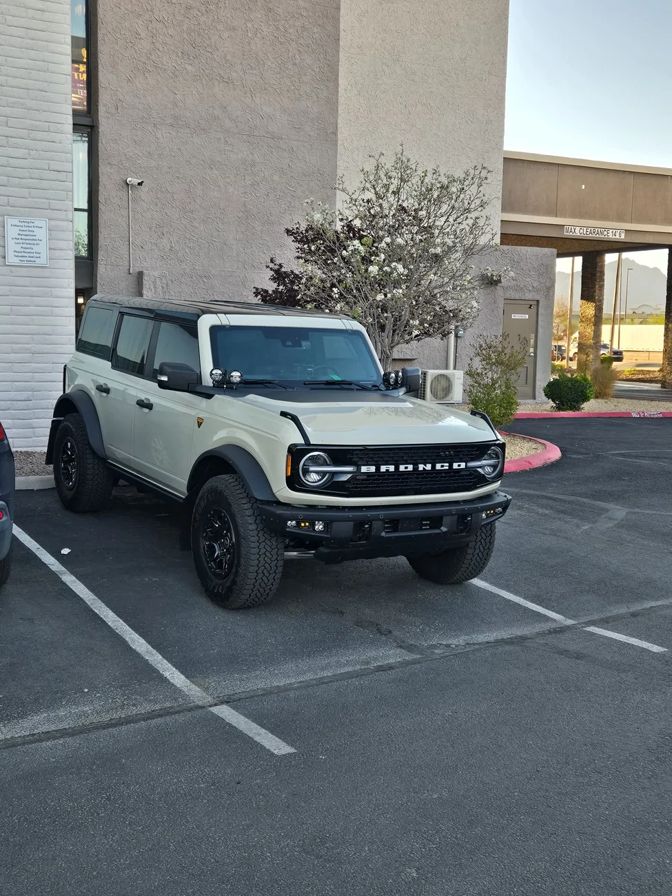 Ford Bronco 1st wax since new..... 20260318_182340