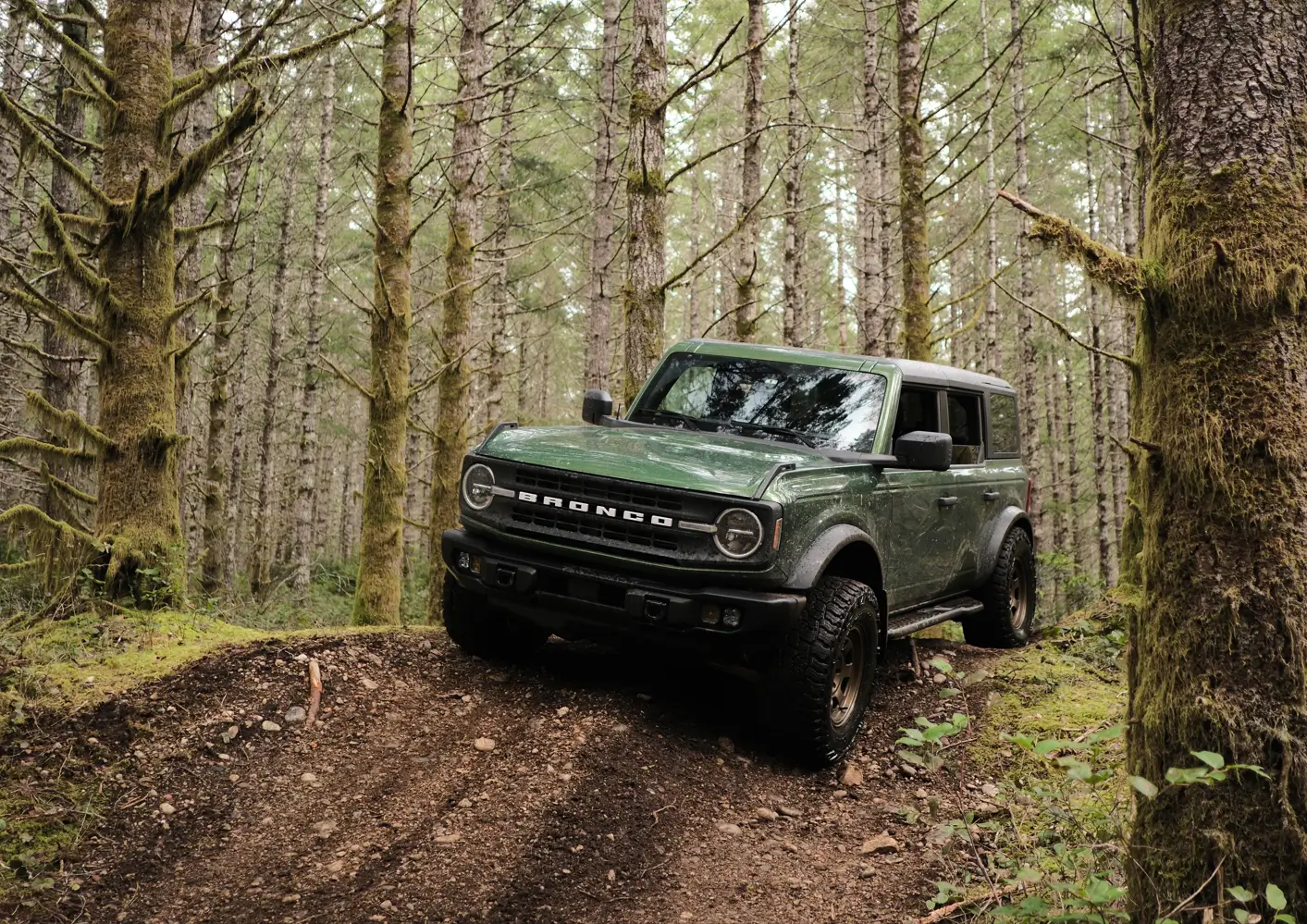 Ford Bronco Great Off-Roading Day at Tahuya ORV Park, WA 1774801590393-ks