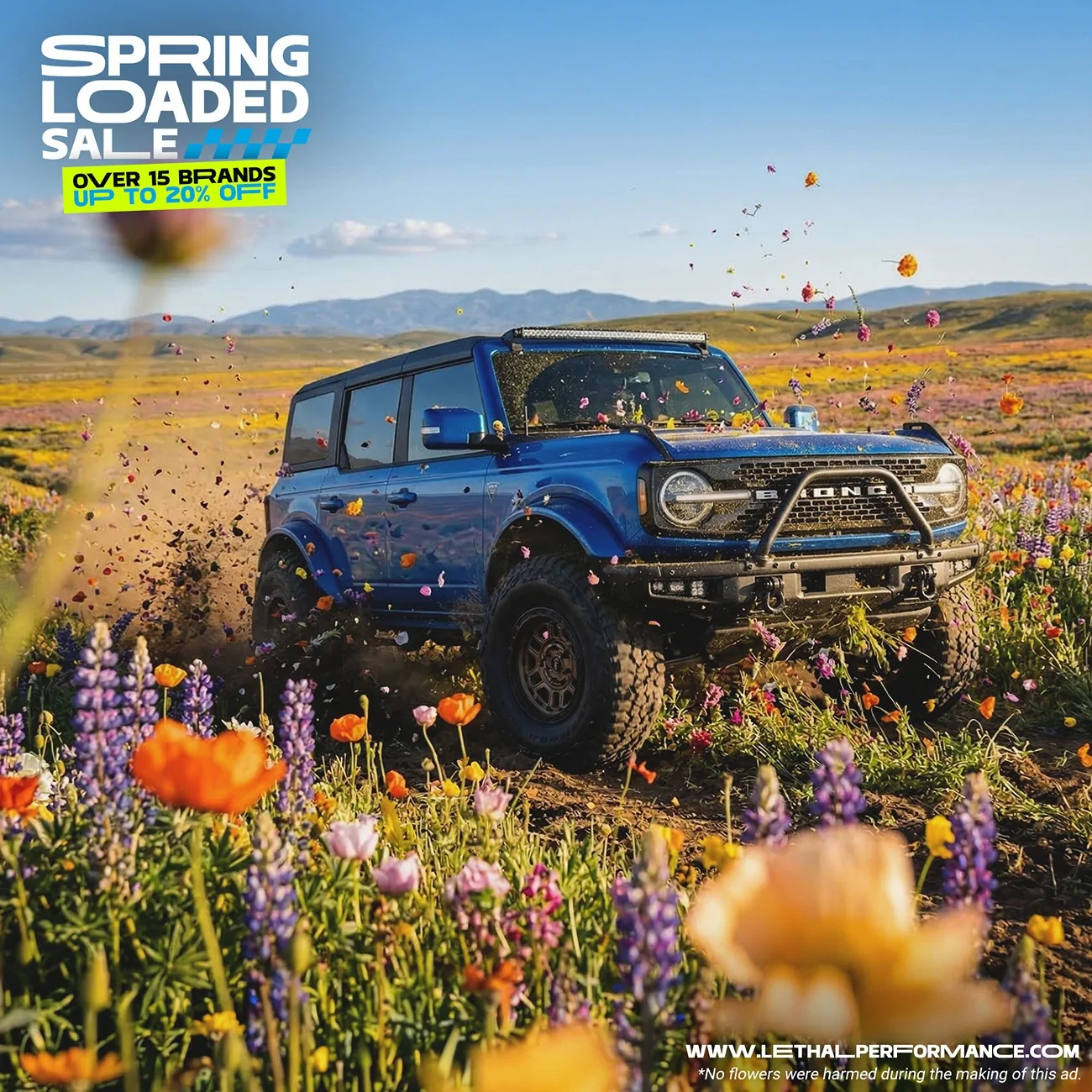 Ford Bronco Spring LOADED Sale @ Lethal Performance 1000023372