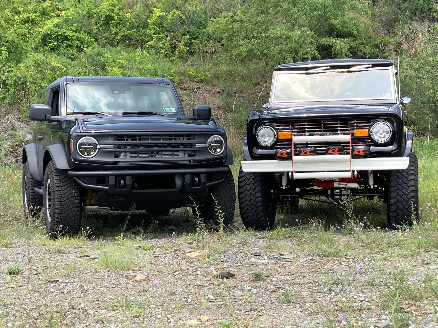 Ford Bronco No V-6 Two Doors?? IMG_1108