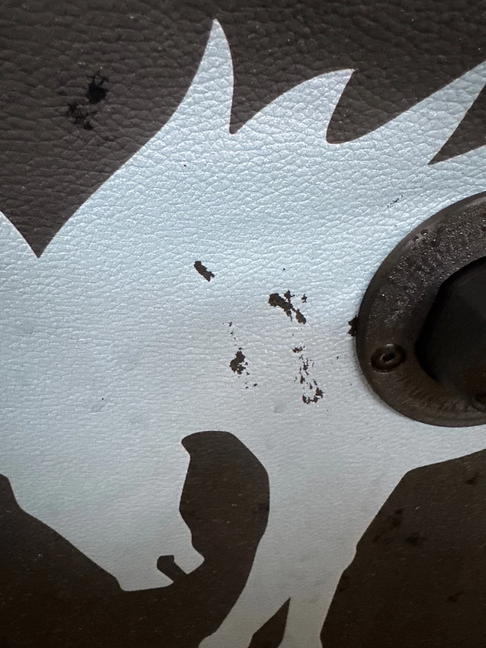 Ford Bronco Bronco Raptor Spare Tire Covers? image0