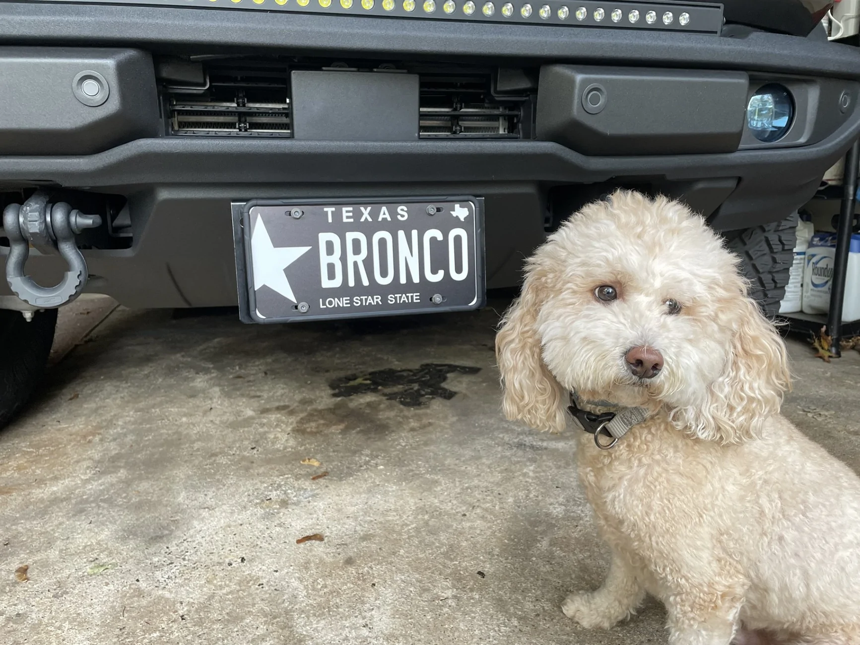 Ford Bronco New Bronco Owners in Texas Dog Plat