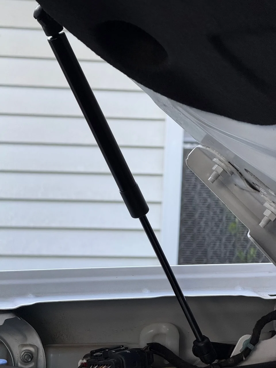 Ford Bronco $20 Hood Struts IMG_3861