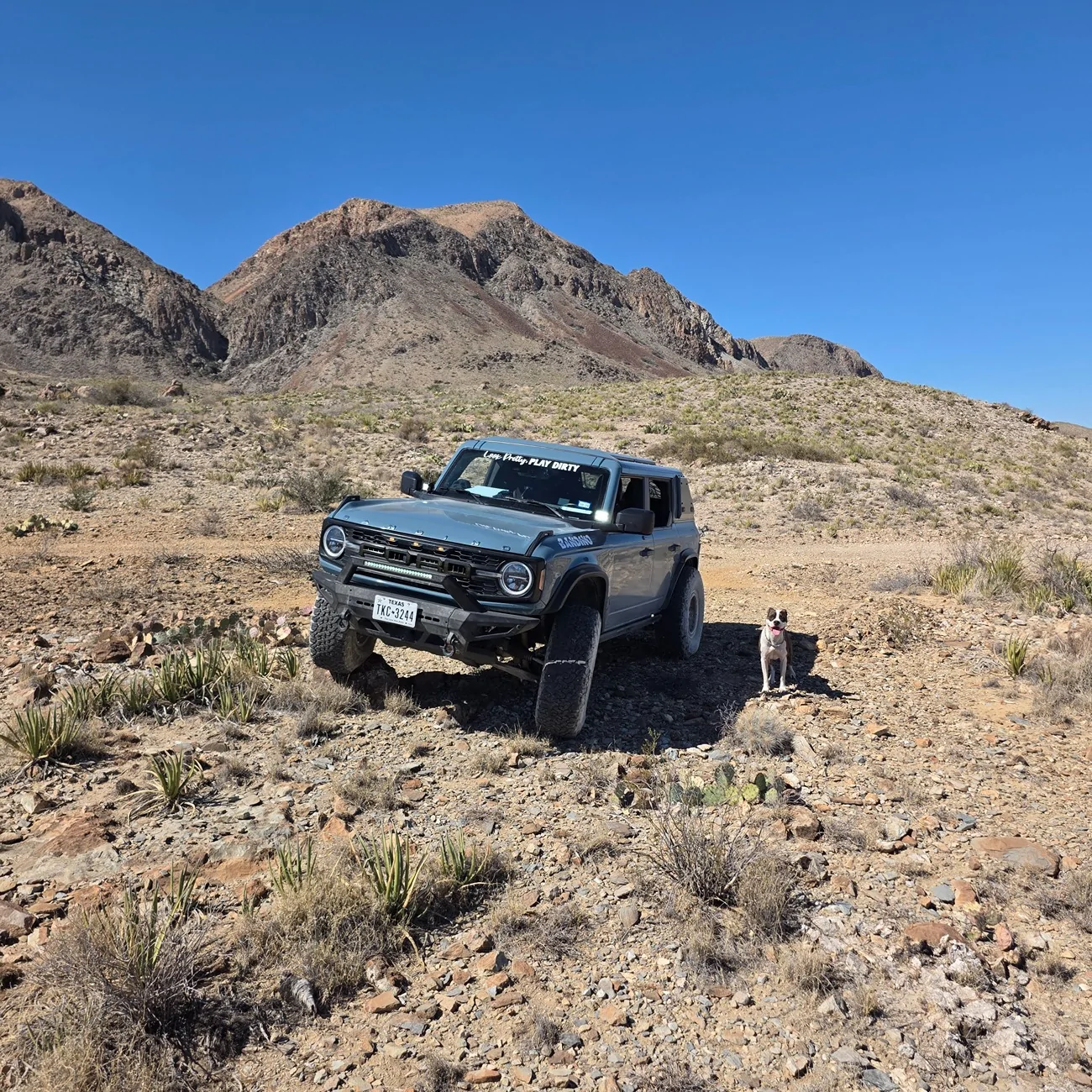 Ford Bronco 【Mabett Giveaway】Share Your Rig’s Fresh Spring Look & Win a Storage Organizer Set 🎁 inbound3867094537681551635