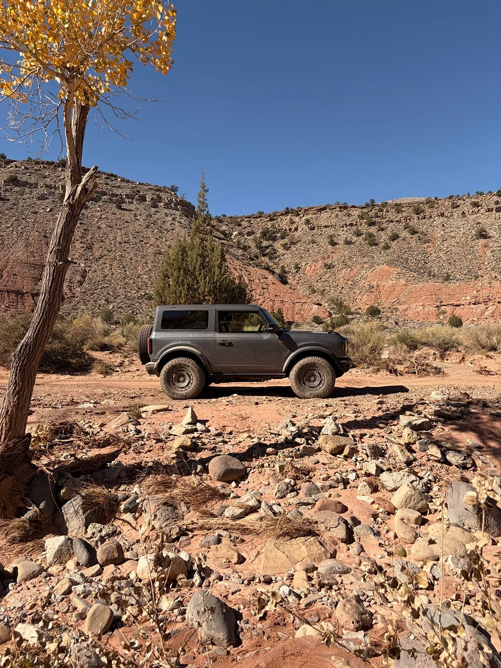 Ford Bronco ICYMI...not to be missed... family of 4 rescued (by Matt's Off-Road Recovery) IMG_2750