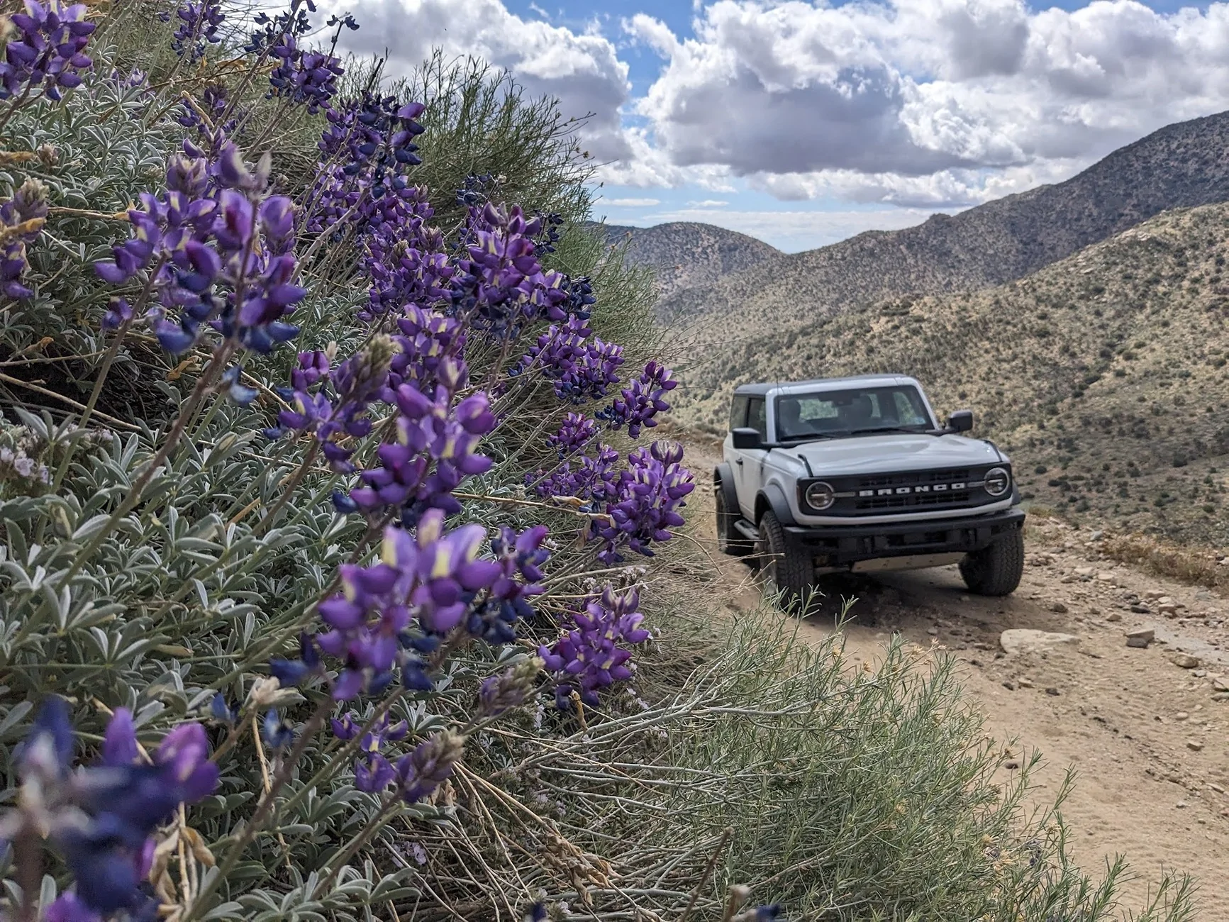 Ford Bronco Southern California, Jawbone Canyon, McIver's Jeep Road. PXL_20260410_175316090