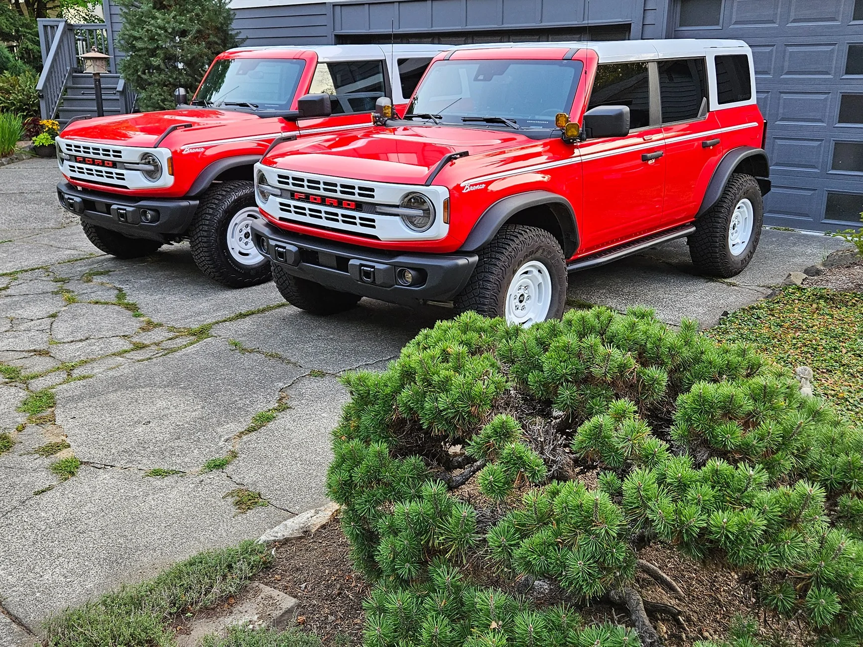 Ford Bronco The Official Bronco6G Photo Challenge Game 📸 🤳 2558