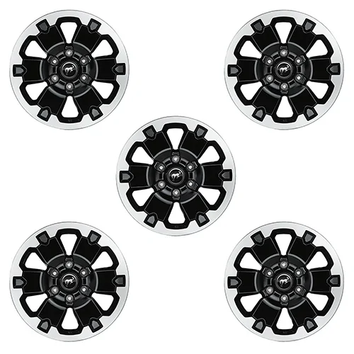 Ford Bronco Ordered FP 18s M-1007K-BB5_KIT