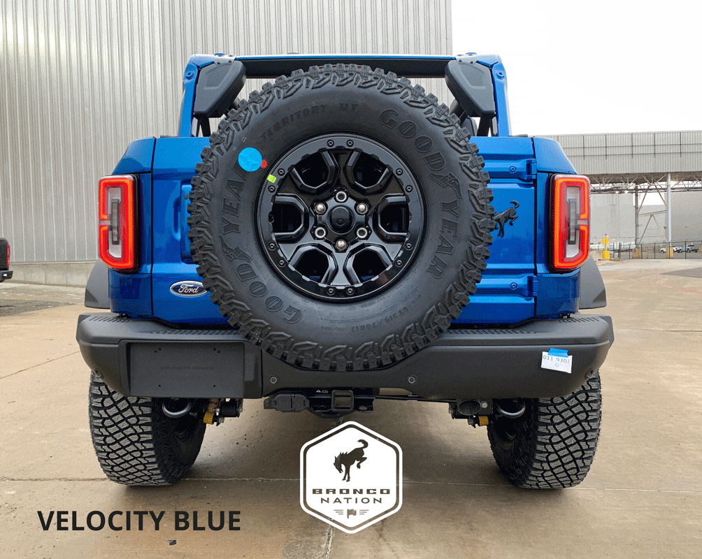 Ford Bronco Where is Velocity Blue ? Back-Blue
