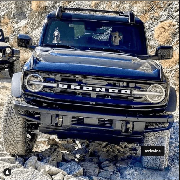 Ford Bronco Final 2021MY Color Poll wildam