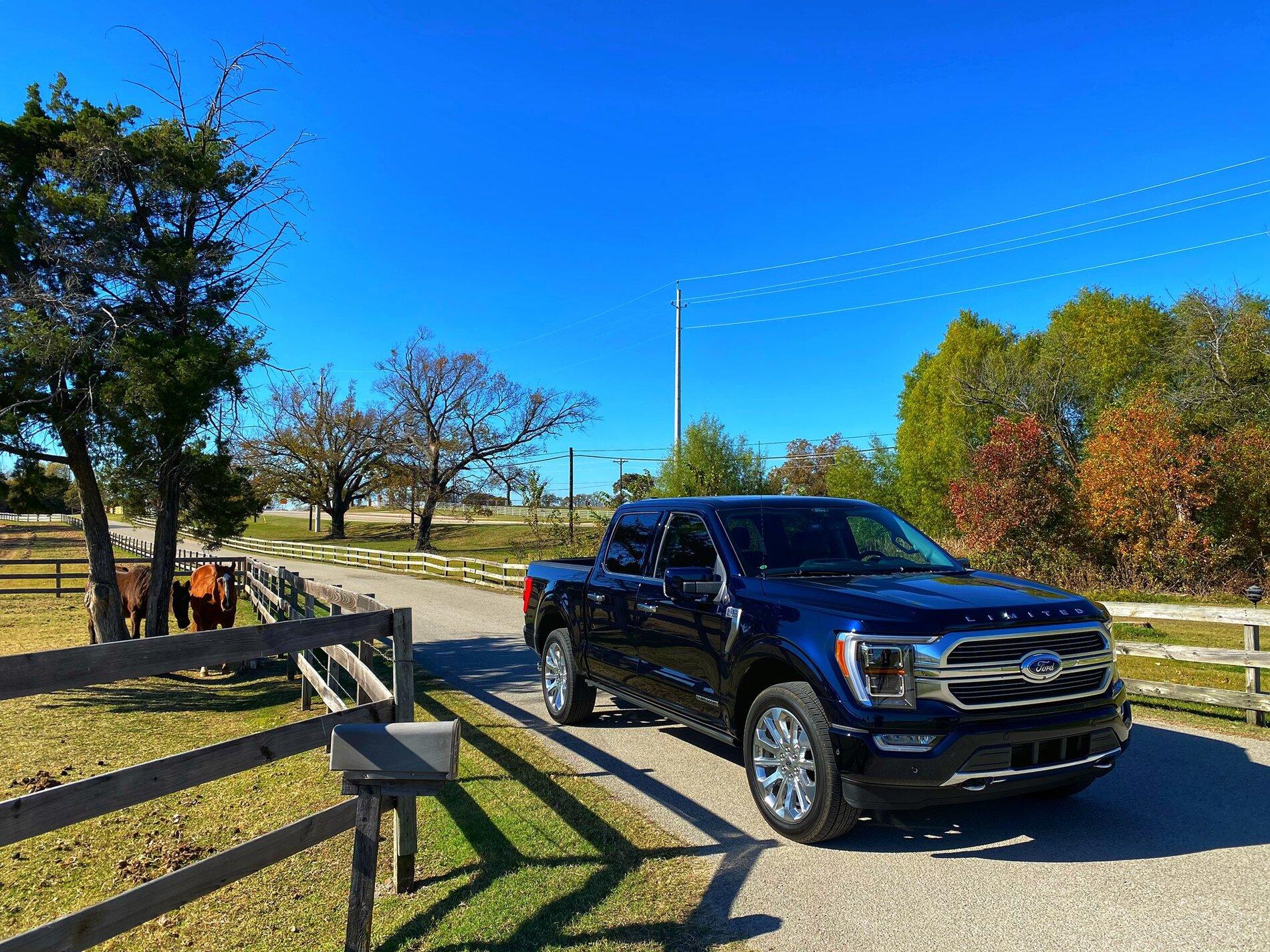 Ford Bronco Final 2021MY Color Poll EnCF0ULXYAQt3MO